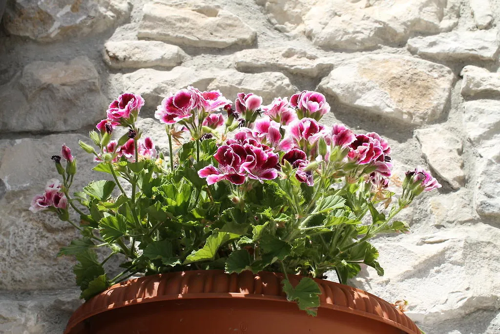 Casa Vacanze Caccamo Santa Lucia